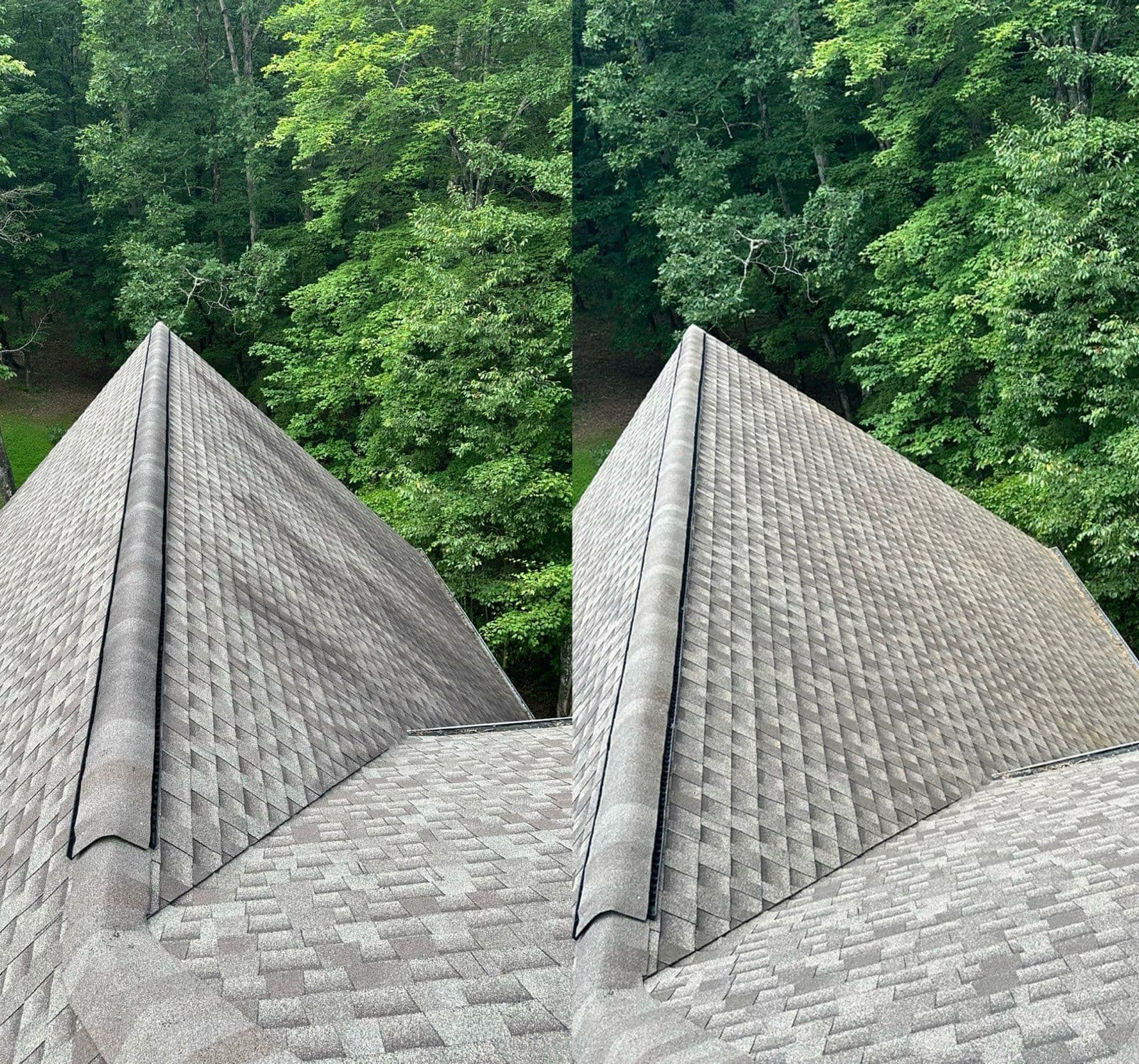 Roof Cleaning Brings New Life to Homes image