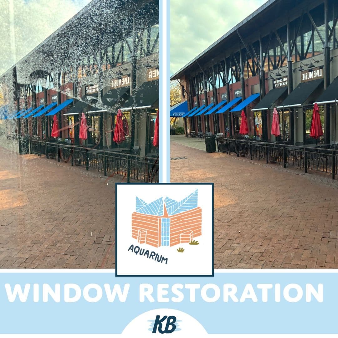 Window Magic at Tennessee Aquarium image